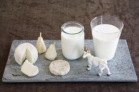 2022年世界牛奶日·全國(guó)乳品營(yíng)養(yǎng)周專稿——科普羊奶營(yíng)養(yǎng)，推進(jìn)全民健康